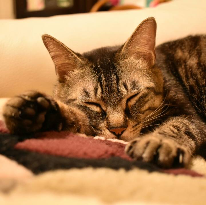 3f21b344 3140 44e3 b7ce ab706c53210a