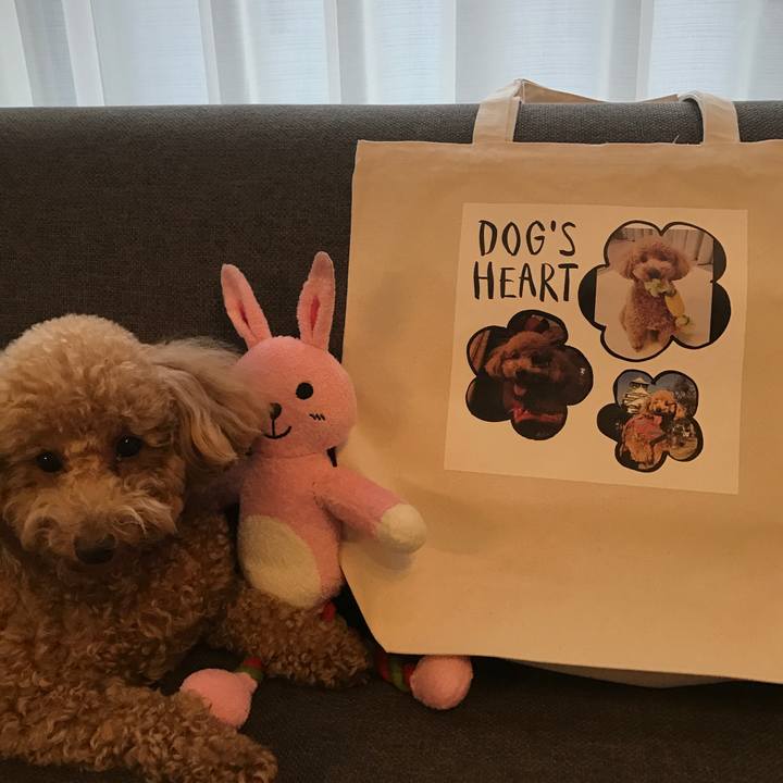 3f21ef35 9c9b 47ce 9774 eacff8e45d5a