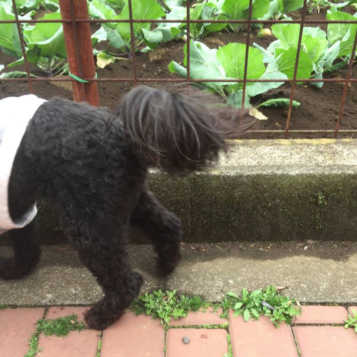 3f21f8d5 3b9f 408d bcf2 6ac47a28f76f