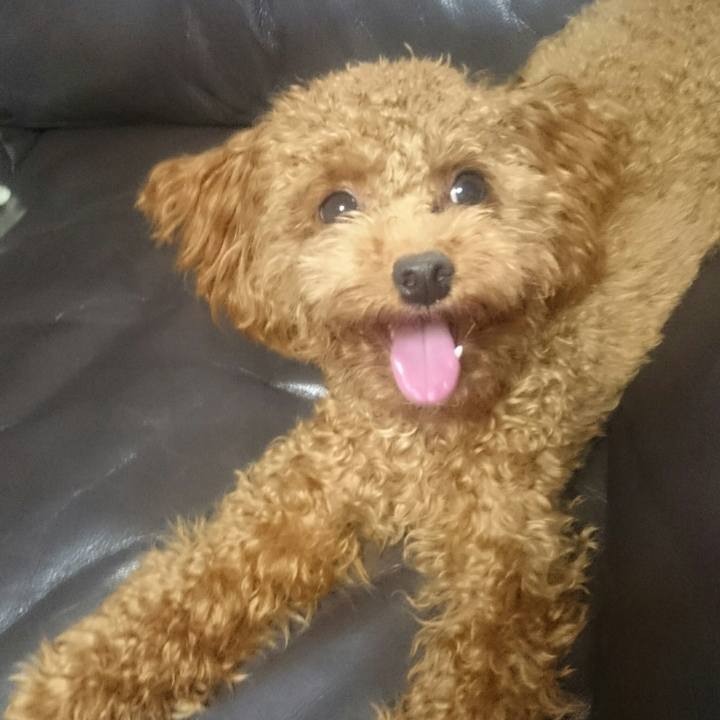 3f2209d3 d143 480c ba9d dd73c88f0c11