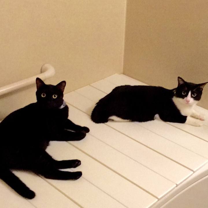 3f2273f9 a320 409e 9934 3eaea3112377