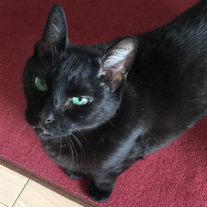 3f22cc33 8f6c 4e50 99d3 ad587241aea3