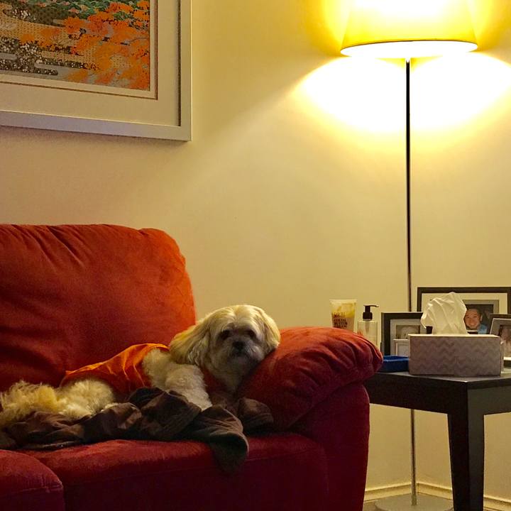 3f22cf56 8aea 4140 898e 2734215734f6