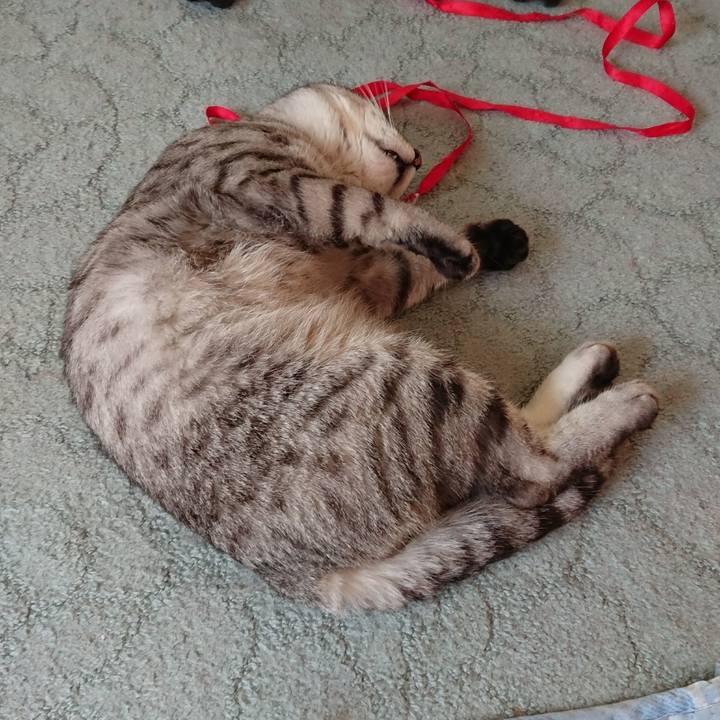 3f231491 4dc4 4f58 a3ce e38f18e2d885