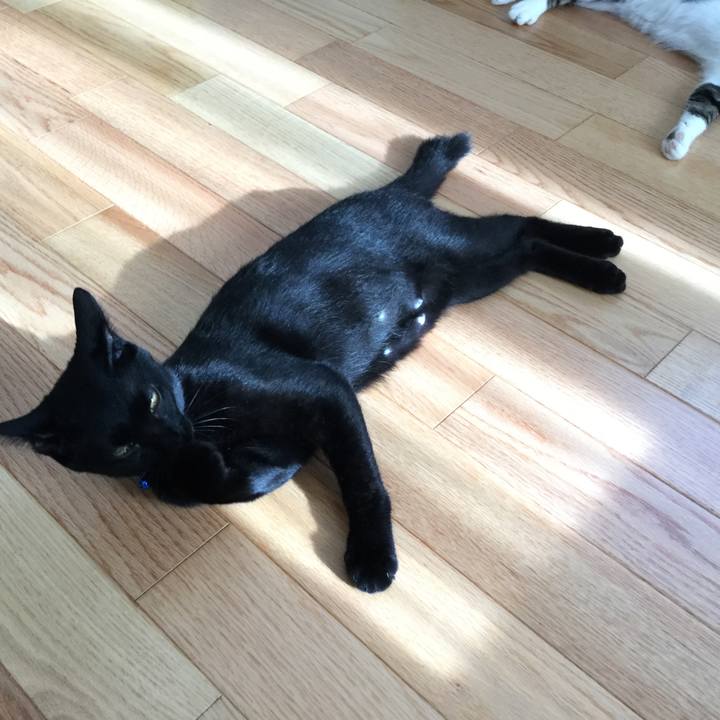 3f232a65 9a2d 4720 8b85 226917186495