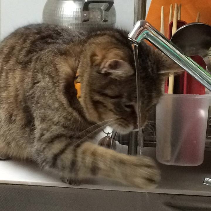 3f23702f ff1a 4c25 b654 ee7b6efb9212