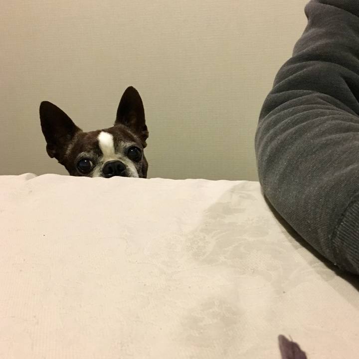 3f23729b 7a36 44e3 8135 1ce4b9bee234