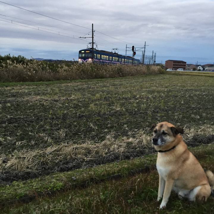 3f2397ca d6ca 4983 abd4 a8108139dc40