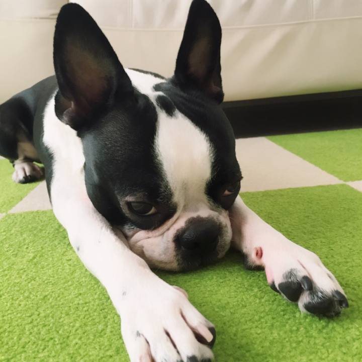 3f23d2bd 1224 4cf0 b22e 3dae96df11a7