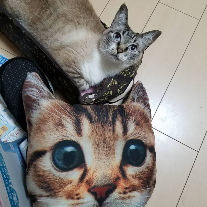 3f25e6c0 f12d 457b 8430 bfe639e748ce