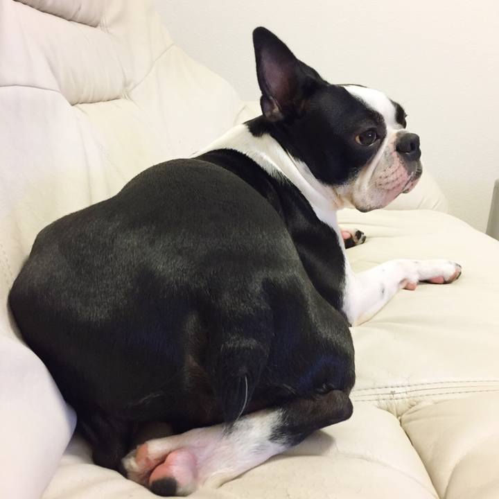 3f261992 bdf2 4896 91f5 a6cc6e2a191c