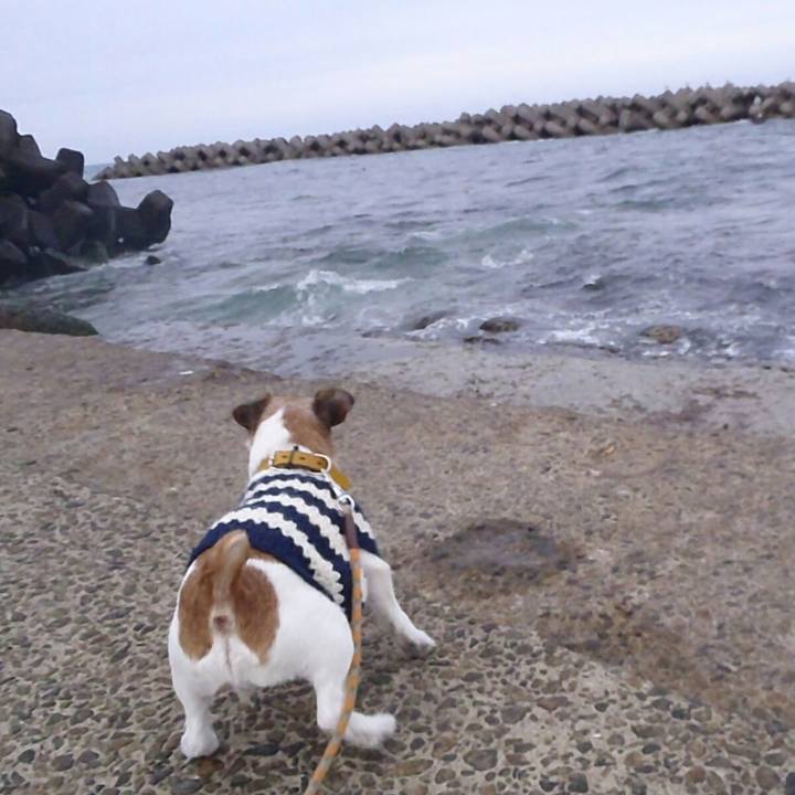 3f268ac5 479a 416b 87a4 cbdd06468a66