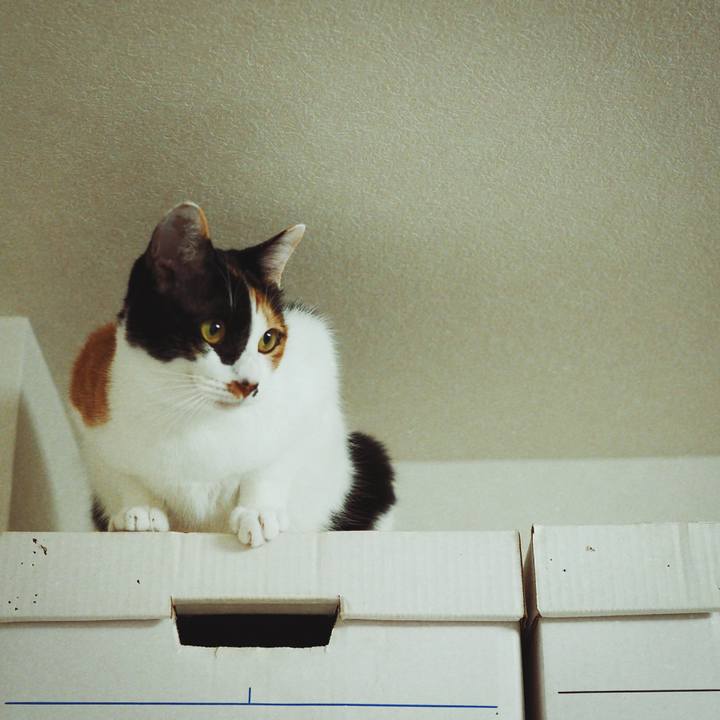 3f26bcb8 3368 45dc 8701 6d553a571446