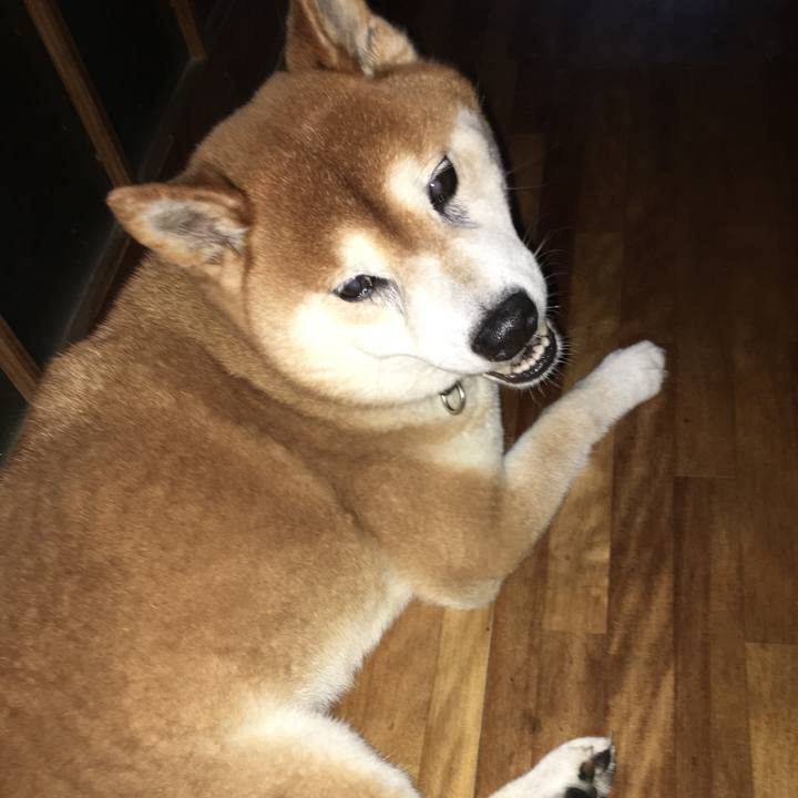 3f275542 a4a6 4013 ad57 ef6658480a3e