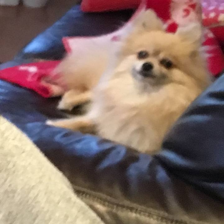 3f27617c 232e 4aba afa3 68b45d9f1f46