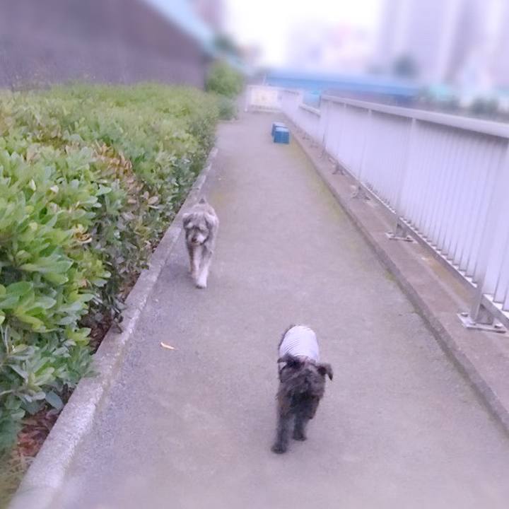 3f27a33d e56a 4c1f 80a6 e3f6ced75bd4