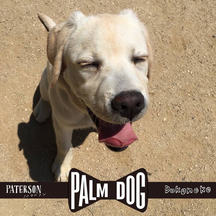 3f27d16f 787f 4606 8b1a 2c59d569db0c