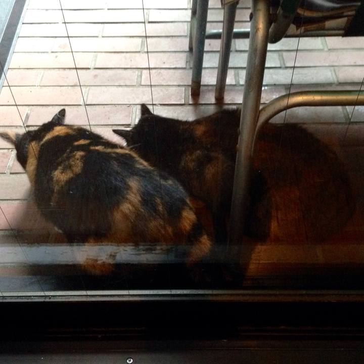 3f283017 6837 4e15 b21e 0f42fa4a0266