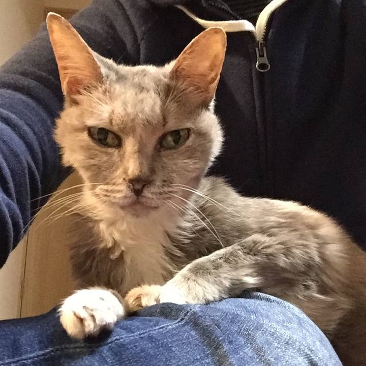 3f287eb2 5b43 49e3 9c41 015d83e462da