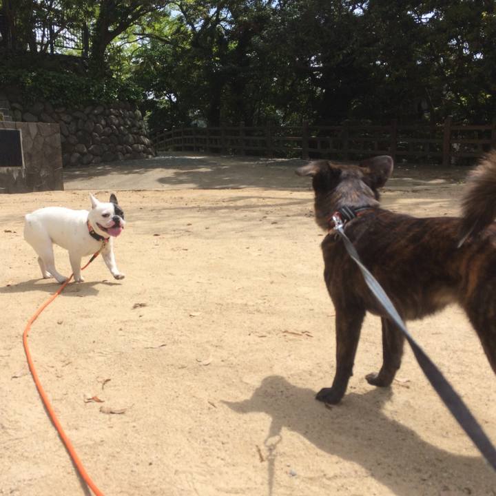 3f2894d1 64ec 4264 9a99 94a7be550b82