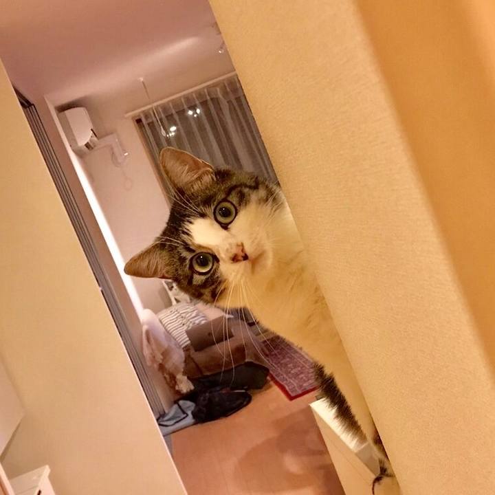 3f28ba9f e545 4cc3 8bdd a1498c0f1a5e