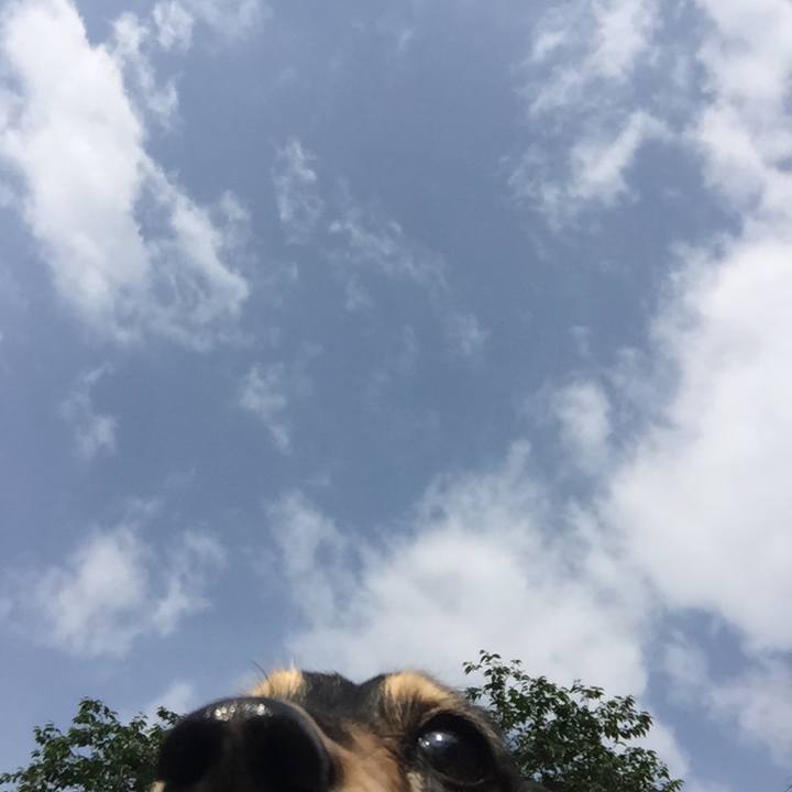 3f29572d 96af 420b be7f 1eec99d23ce5