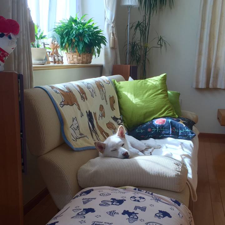 3f29dedd 8c8d 4757 ad71 24a1e562fc8f