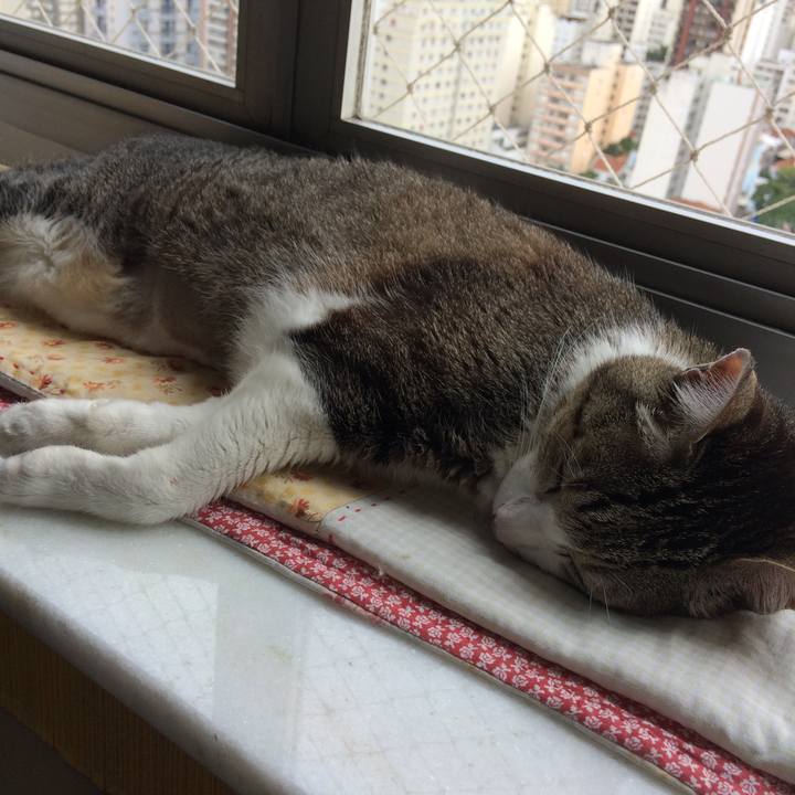 3f2a1339 5058 409c a6a6 a6339726e14d