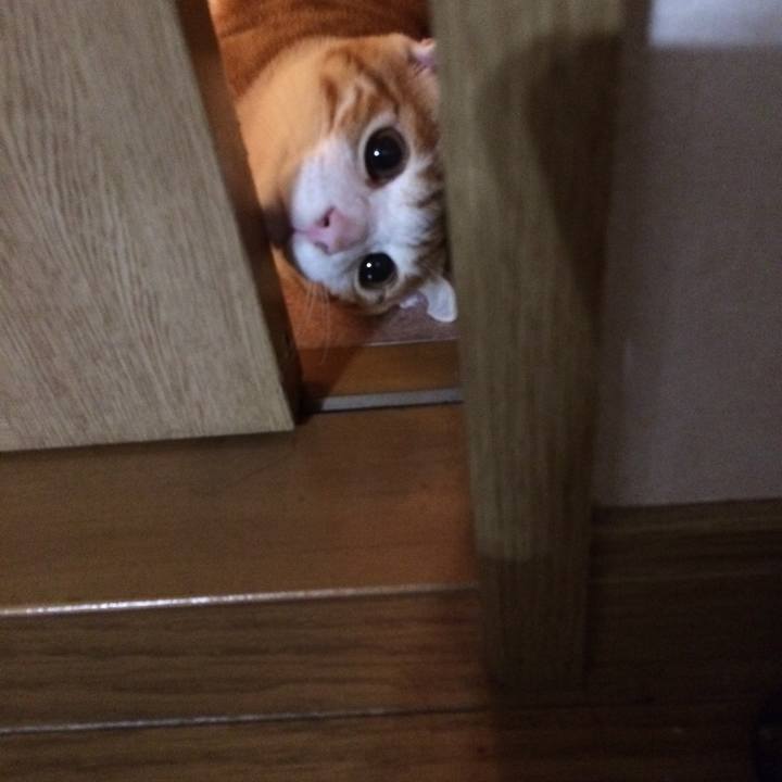 3f2a1bb1 bed3 4e10 b9ad 8a014aa49fb0