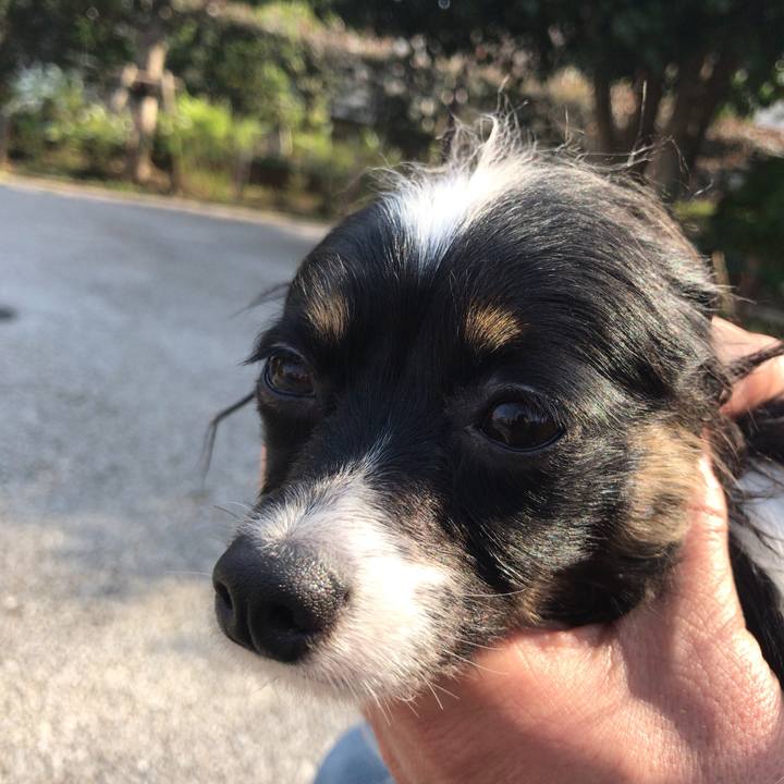 3f2a840a 03fd 4f99 9e5d d40ffde40804