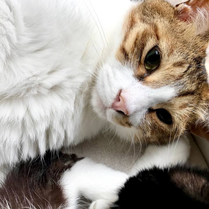 3f2ab06d 405c 433e a684 f0603f45b9c5