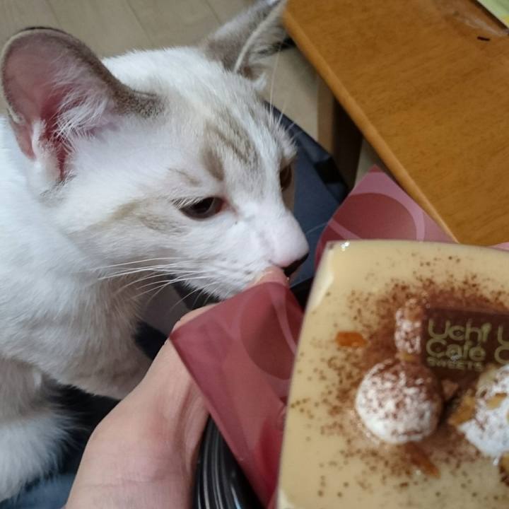 3f2de5be 2cfc 45c5 bac9 e8fa6aa2d281