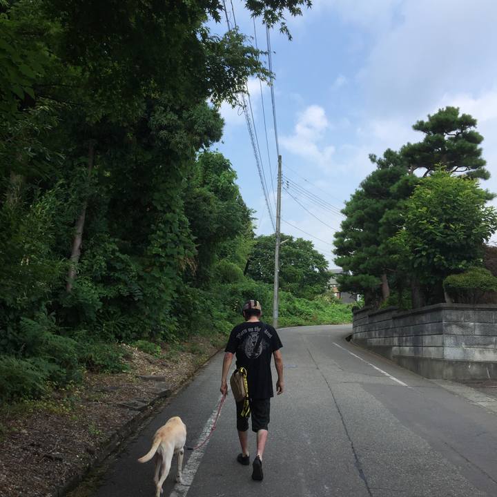 3f2e3964 b46c 48d7 8121 e21d5ae7c77c