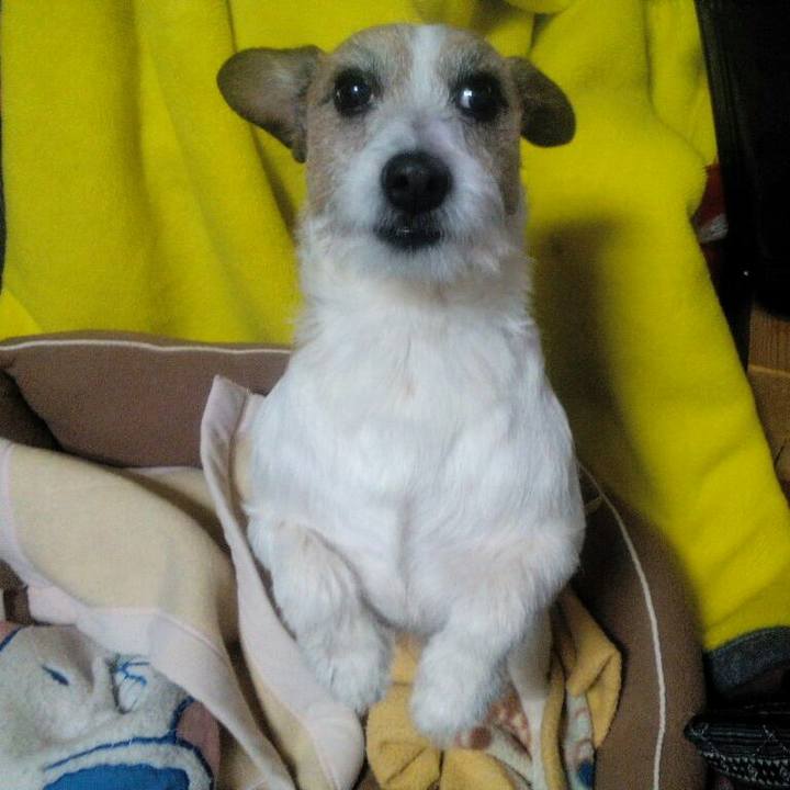 3f2f5ec7 0b76 46ee 8229 5697a5287418