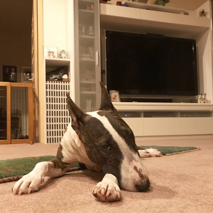 3f2f7190 23de 44e2 b16f e0d269fdc4a4