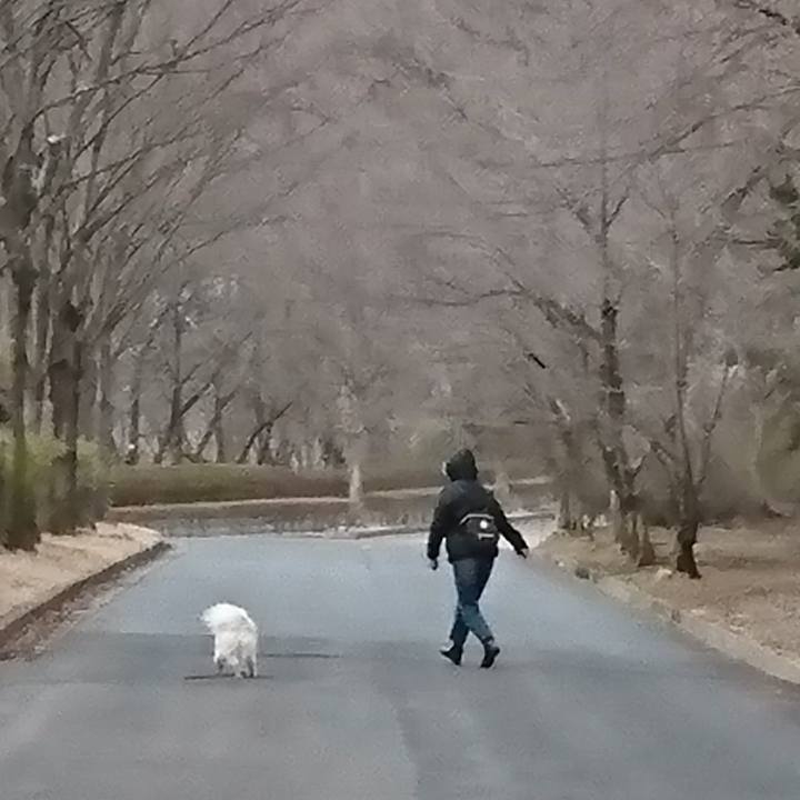 3f2fbeb0 584f 4a89 b4a6 feeeed4b7b51