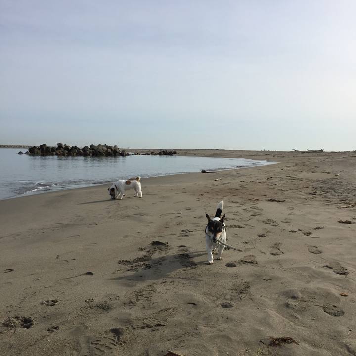 3f301000 91d7 4ef0 9669 f262765e4dfb