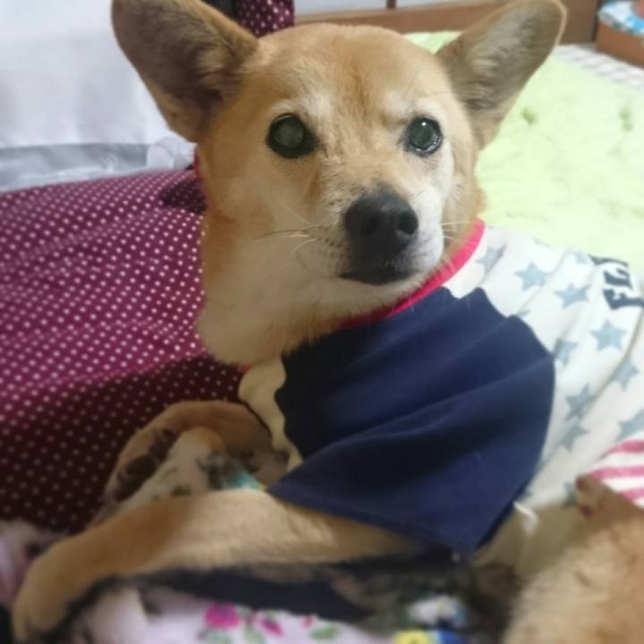 3f3017f3 0a9d 4ed1 be8b f57eda5d14f2