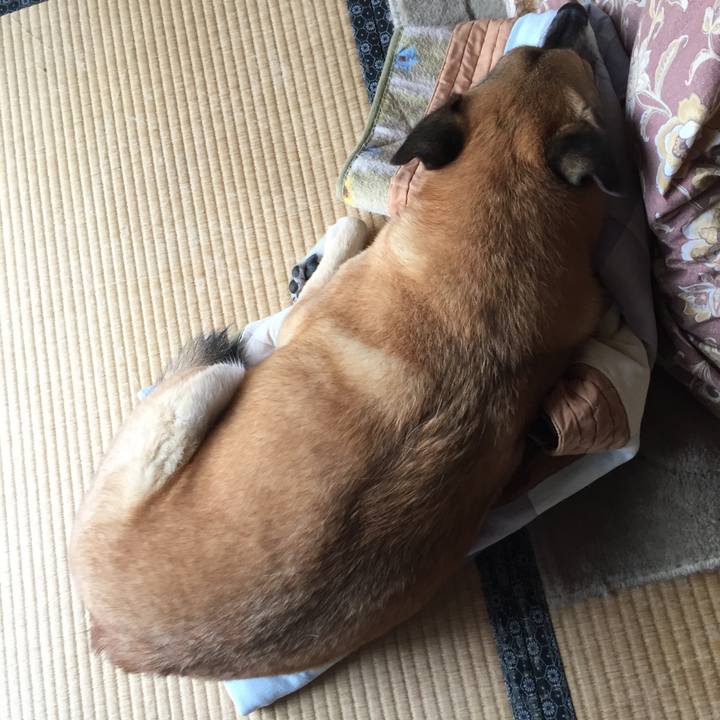 3f302dc0 846f 45e2 a7ac 6be1001eb1a4