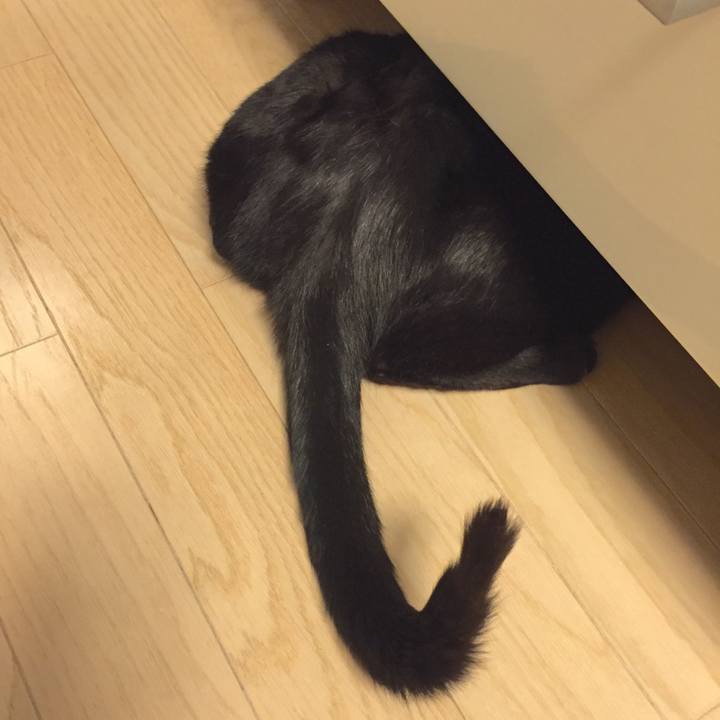 3f302e0e 9ac1 445c 8a3d 26cd4ddfb2d3