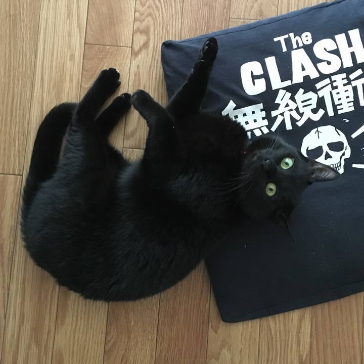 3f31e5e2 d268 4444 8455 d0ed2c599d9a