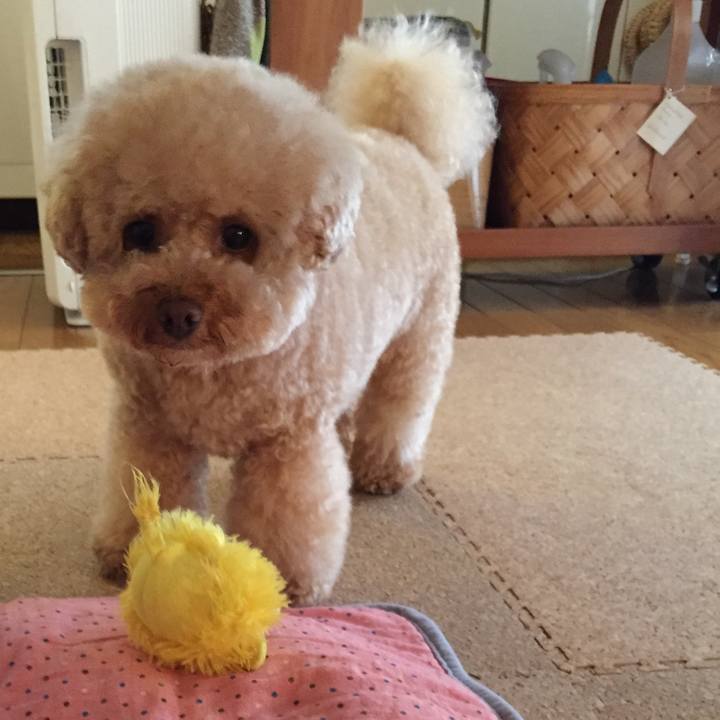 3f327218 99fe 4626 b5aa c187e13a0a5d