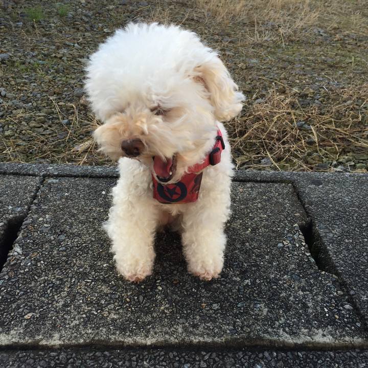 3f327670 5467 4033 a740 cfa7ef979339