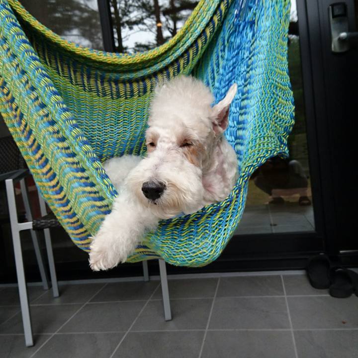 3f32bd03 ac52 4dae 9d24 4fb165a65711