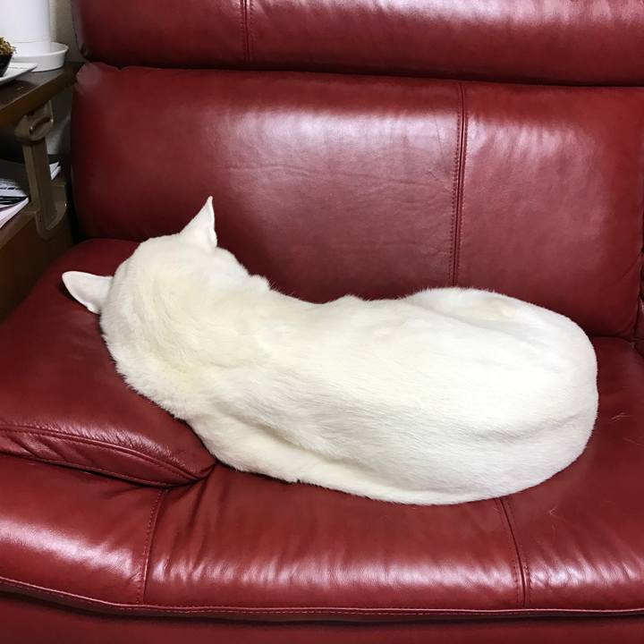 3f3349d8 ddd6 4480 a775 45bbb4a27d72