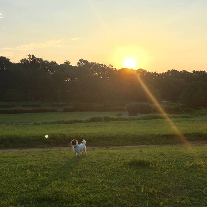 3f338769 69ff 4514 ab22 f094a9e12724