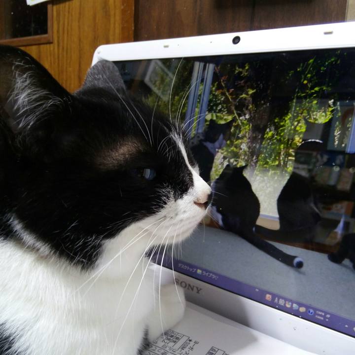 3f33adba 9884 423c 8a8d f430d5975b7c