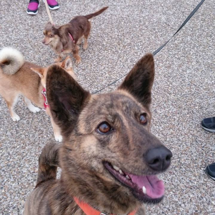 3f33e571 76ba 44e4 a383 d704160a50f6