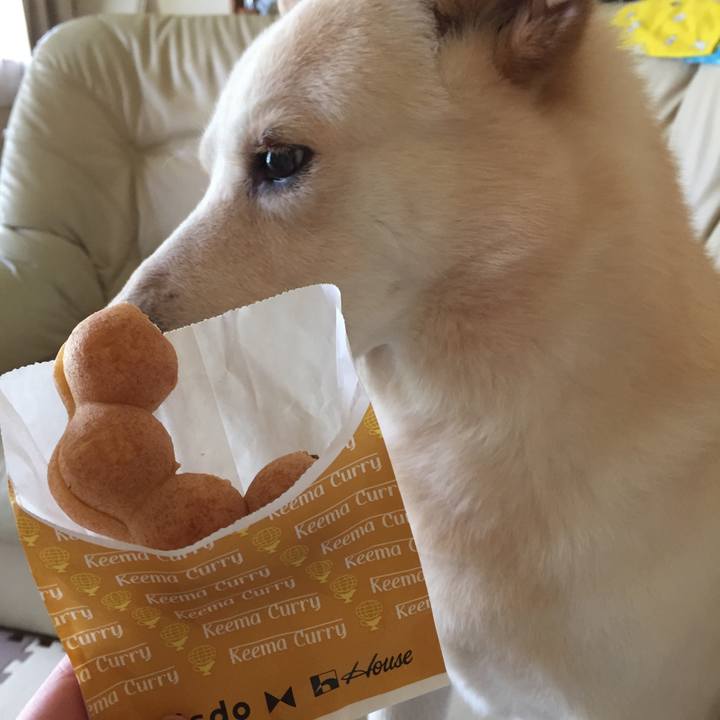 3f340359 9ae9 4e4e bf48 abf5351a63b8