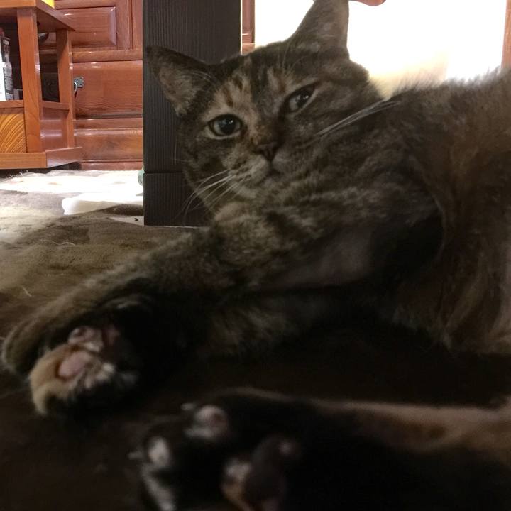 3f3437ef 926e 48cd 8774 0b7788bdce77